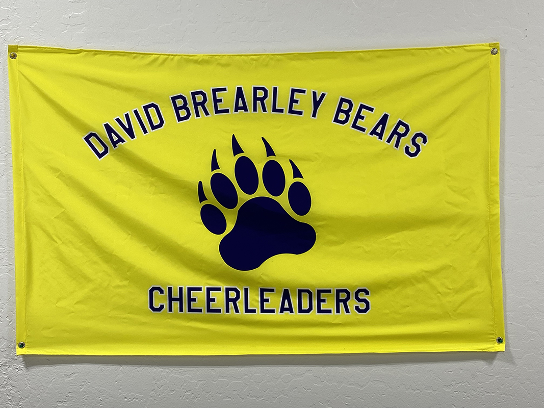 Cheerleader 3x5 custom flag